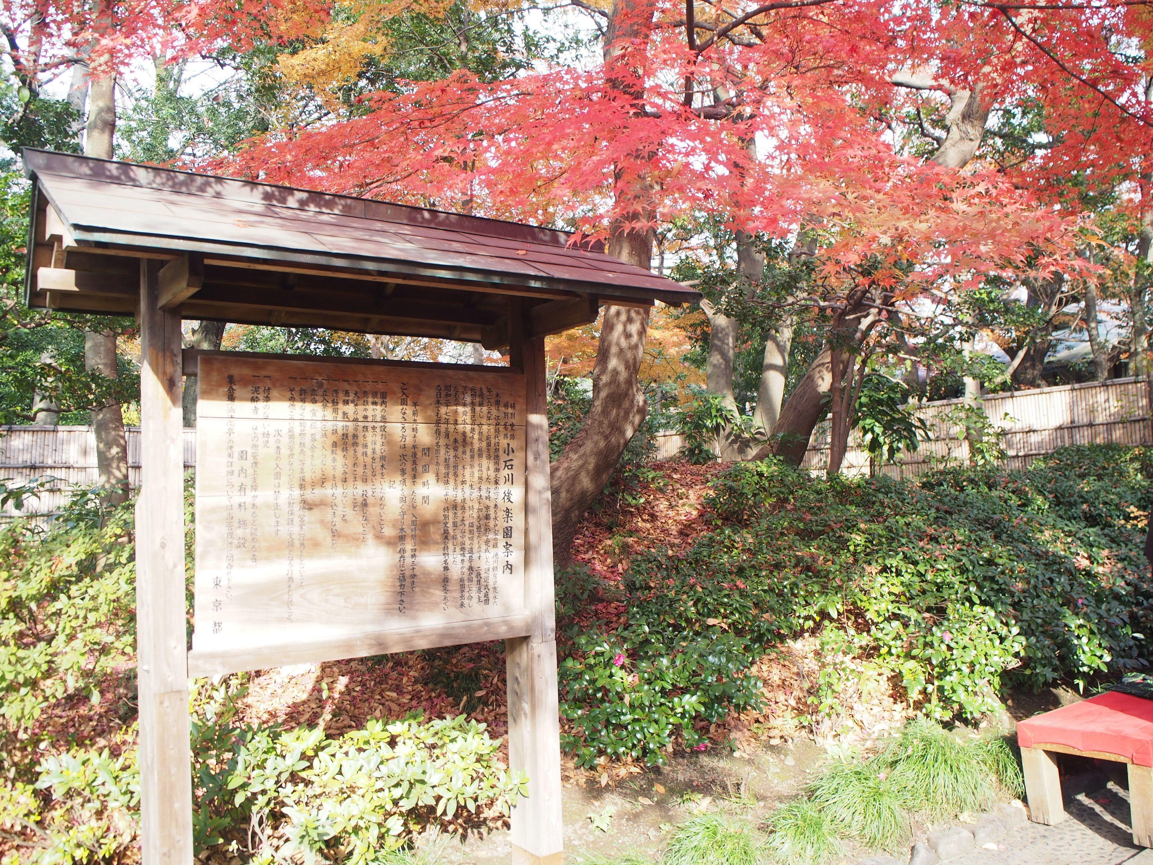 Sakura Hotel Jimbocho — Fotoğraflar 1